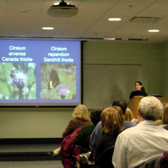 2003 E&E Nina's Dissertation