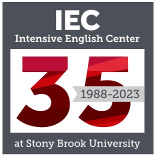 IEC 35 year logo