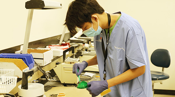 male student working in a dental lab