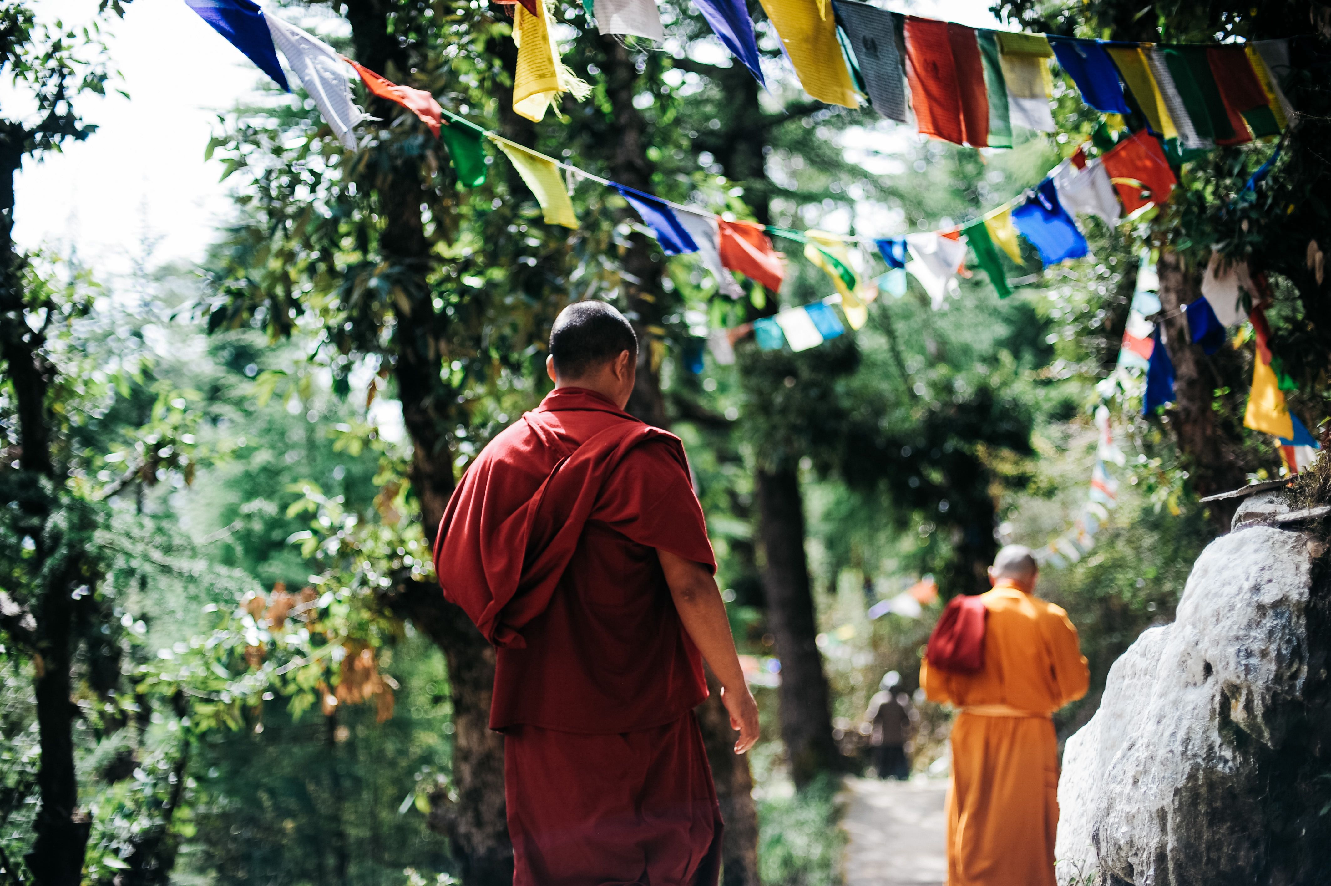 Buddhist monks walk away from the camera along a path lined with trees and prayer flags