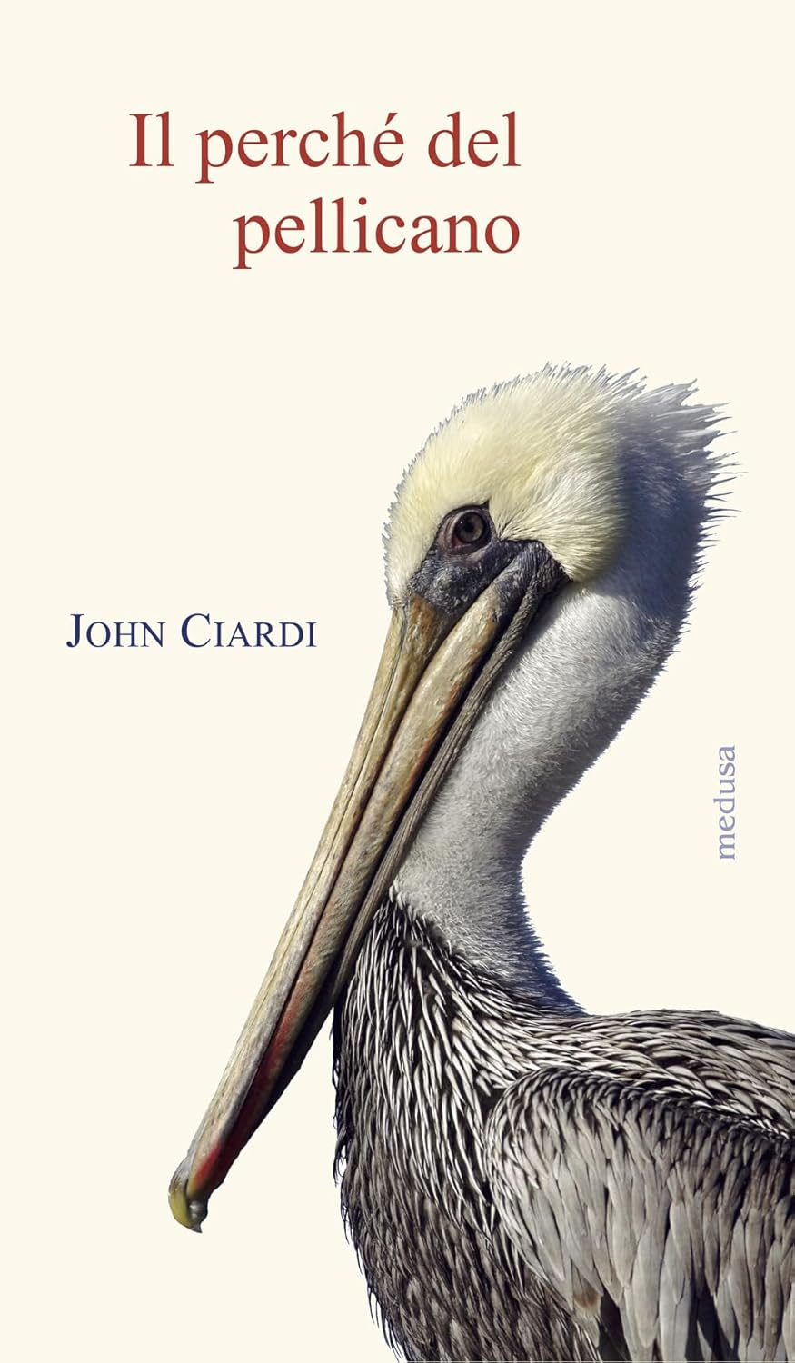 image of the front cover of the reason for the pelican. Contains only title and author, John Ciardi.